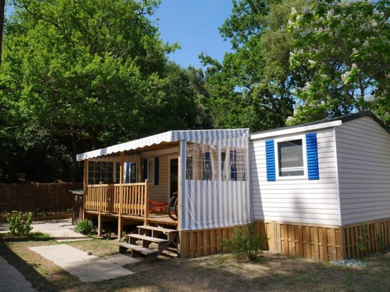 Camping Officiel Siblu La Pignade รงซี-เลส์-แบ็งส์ ภายนอก รูปภาพ