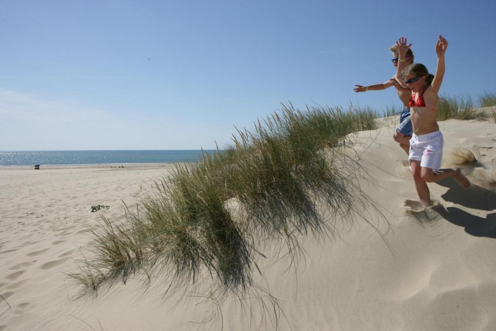 Camping Officiel Siblu La Pignade รงซี-เลส์-แบ็งส์ ภายนอก รูปภาพ
