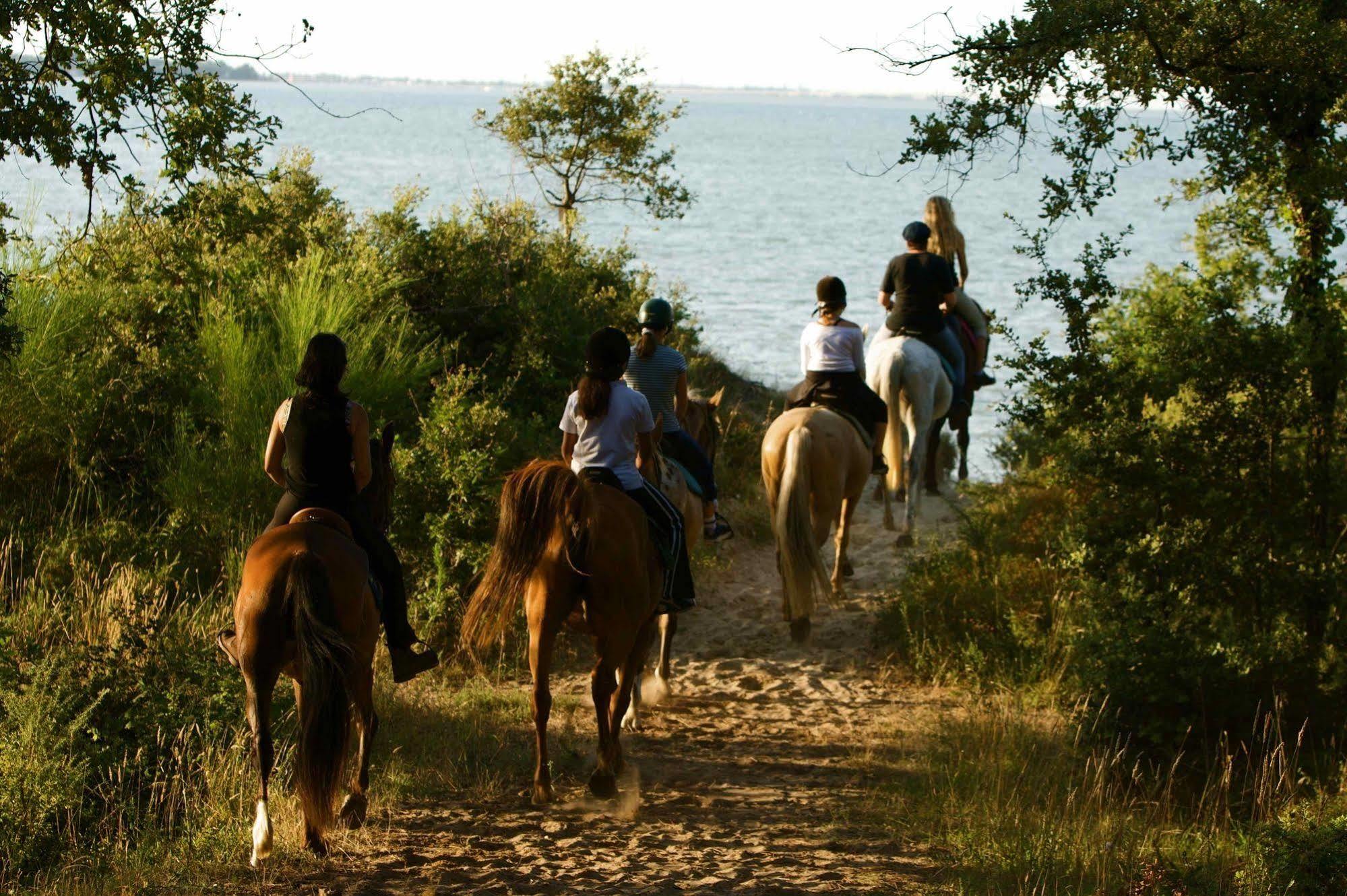 Camping Officiel Siblu La Pignade รงซี-เลส์-แบ็งส์ ภายนอก รูปภาพ