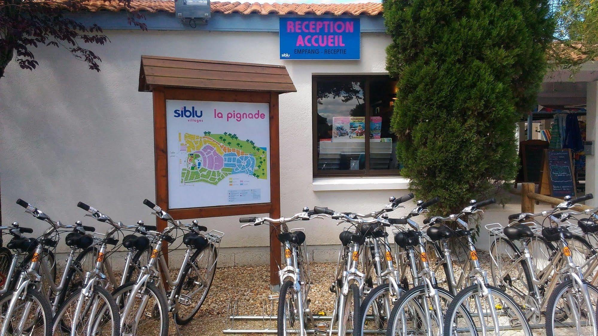 Camping Officiel Siblu La Pignade รงซี-เลส์-แบ็งส์ ภายนอก รูปภาพ
